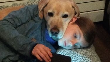 hond