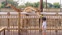 goedkoopste dierentuinen