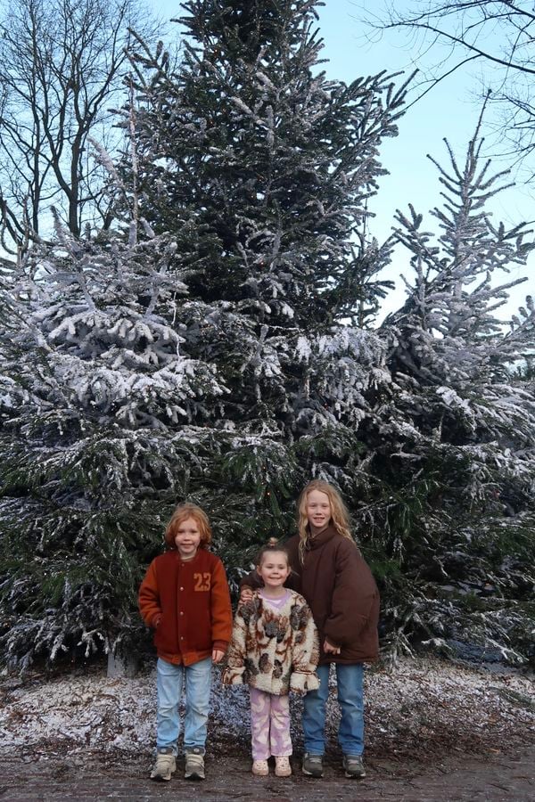 winter efteling 2