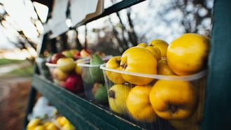 gezinsbudget biologisch eten