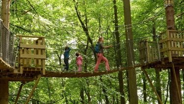 In november weg met de kinderen? Deze Ardennen-deal combineert hotel, grotten én wildpark