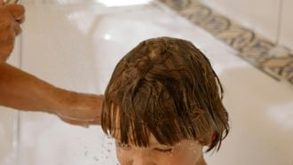 luizenshampoo