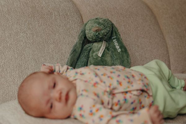 Voor zusje Feline kochten Roos en Gavin dezelfde Happy Horse-knuffel als Lucas had: “Die ligt nu in haar kinderwagen en gaat de hele dag overal mee naartoe.”