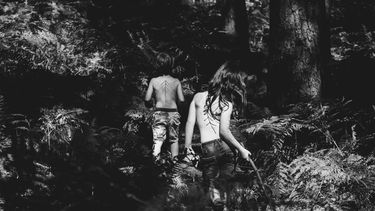 Sadhana jungle