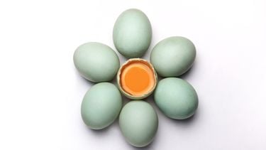 een bloem van eieren die symbool staan voor de ovulatie, ofwel eisprong