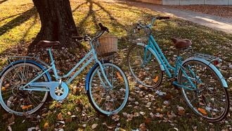 fietskar