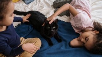 autisme / meisjes liggen op bed met kat