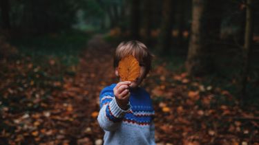 Jongetje die herfstblad voor zich houdt tijdens een herfstwandeling in de bossen