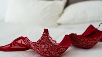 bijverdienen als escort