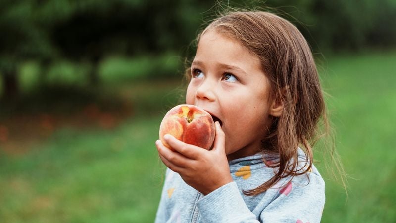 Gezond eten zonder gezeur: zó werkt het ineens wel