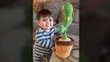 dansende cactus