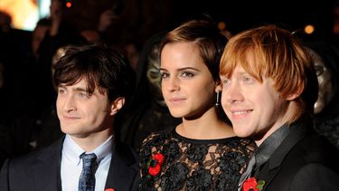 De cast van Harry Potter