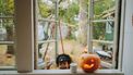 halloween knutselideeën
