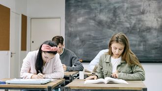 wiskunde wiskundedocente