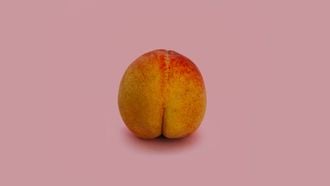 vagina na de bevalling