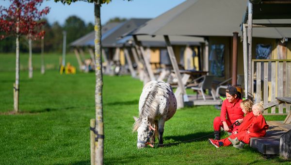 Winactie: voucher voor een boerderijvakantie bij FarmCamps én kaartjes voor de film Het Geheim van de Wondere Wereldboom