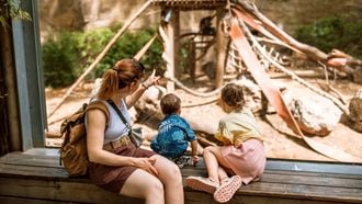 Bijna 1 op de 3 ouders moet uitje met kind afzeggen door geldgebrek: 40 procent voelt zich schuldig
