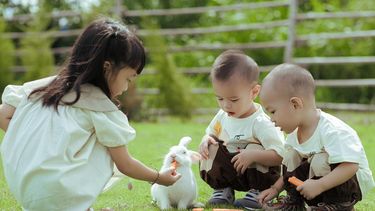 opgebiecht konijn kinderboerderij