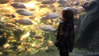 blunder-aquariu-peuter-kwijt