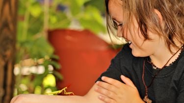 Jongen met insect op arm - insectenbeet