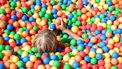 mama-blundert-poep-ballenbak
