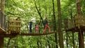 In november weg met de kinderen? Deze Ardennen-deal combineert hotel, grotten én wildpark