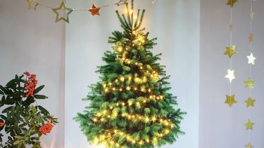 duurzame kerstboom