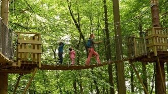 In november weg met de kinderen? Deze Ardennen-deal combineert hotel, grotten én wildpark