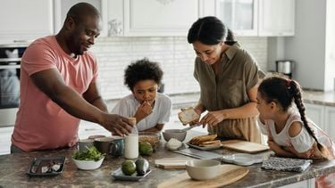 familiesysteem