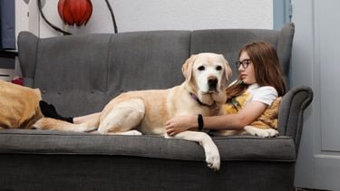 Ties en hulphond Moody