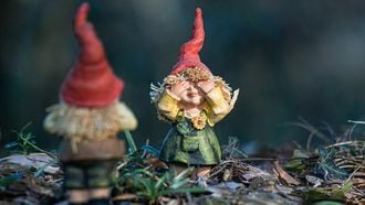 blunder-knutsel-kabouters