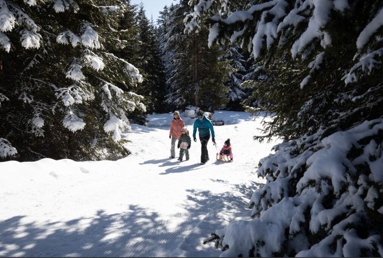 Wandelen door sneeuw