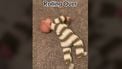 baby 6 maanden