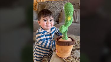 dansende cactus