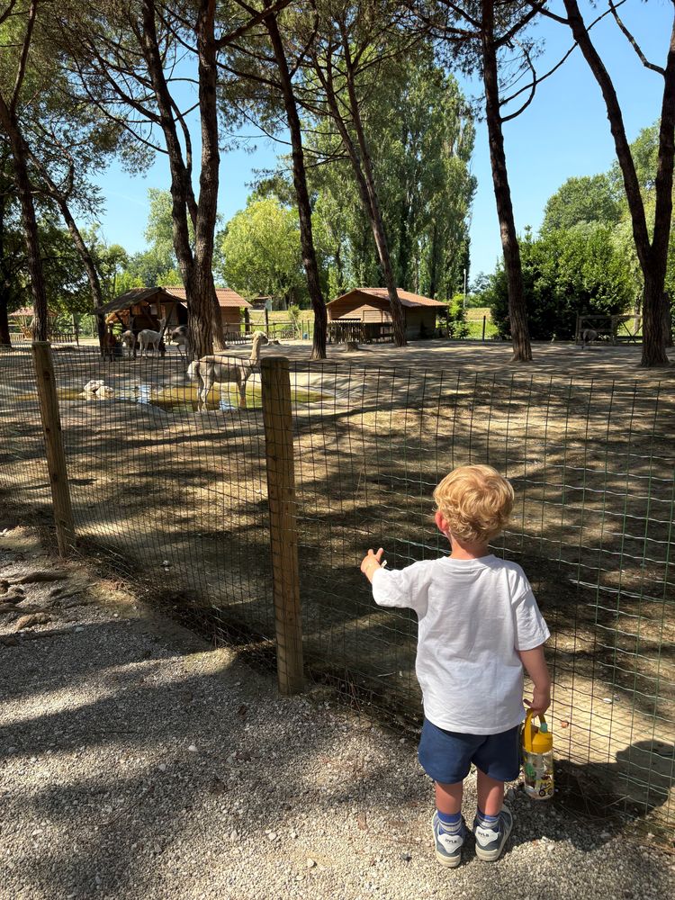 Parco Zoo Punta Verde, een schaduwrijke en groene dierentuin in Lignano Sabbiodoro.
